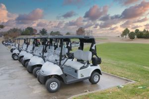 view of carts on course